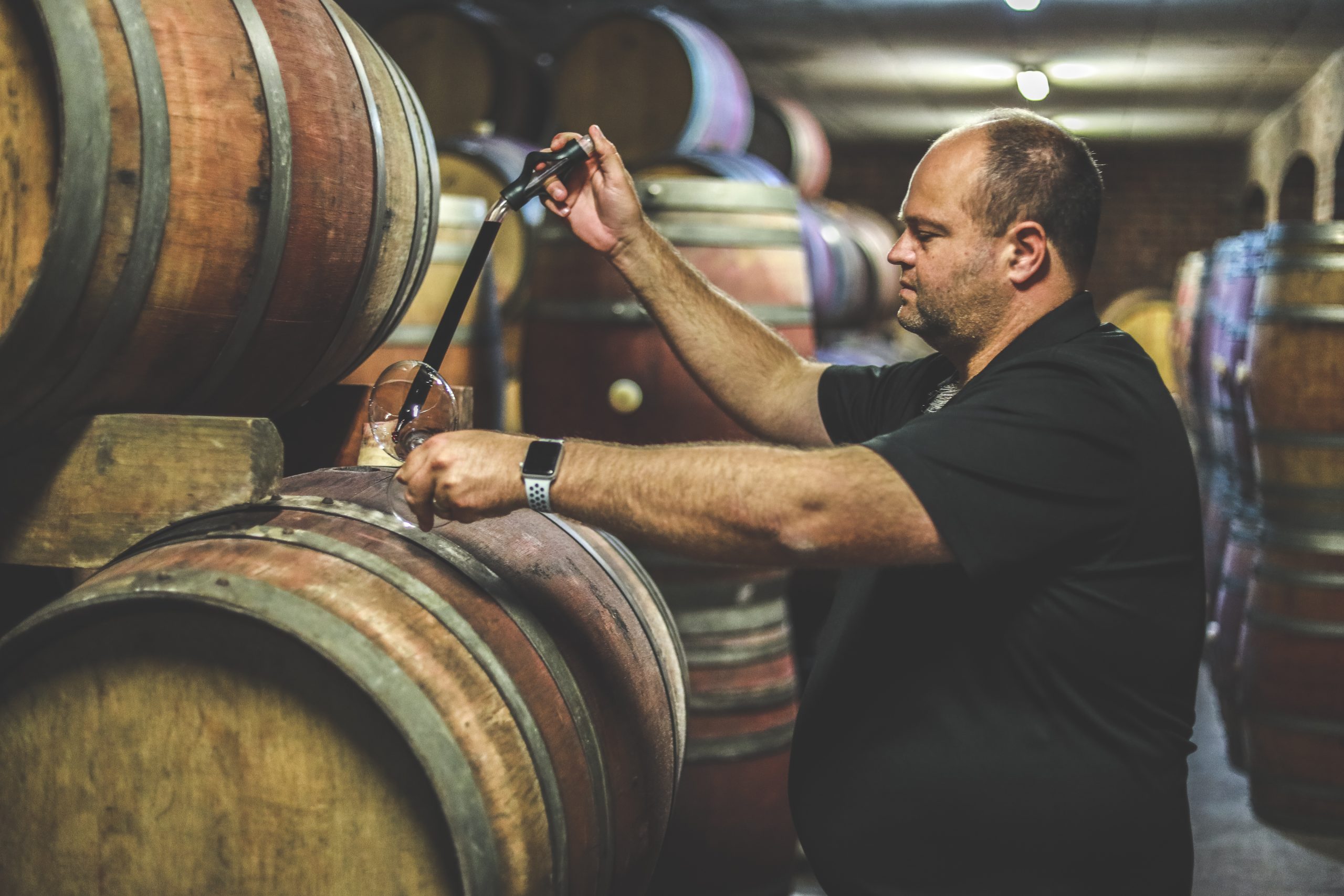 Tasting Bizoe Wines from barrels before bottling