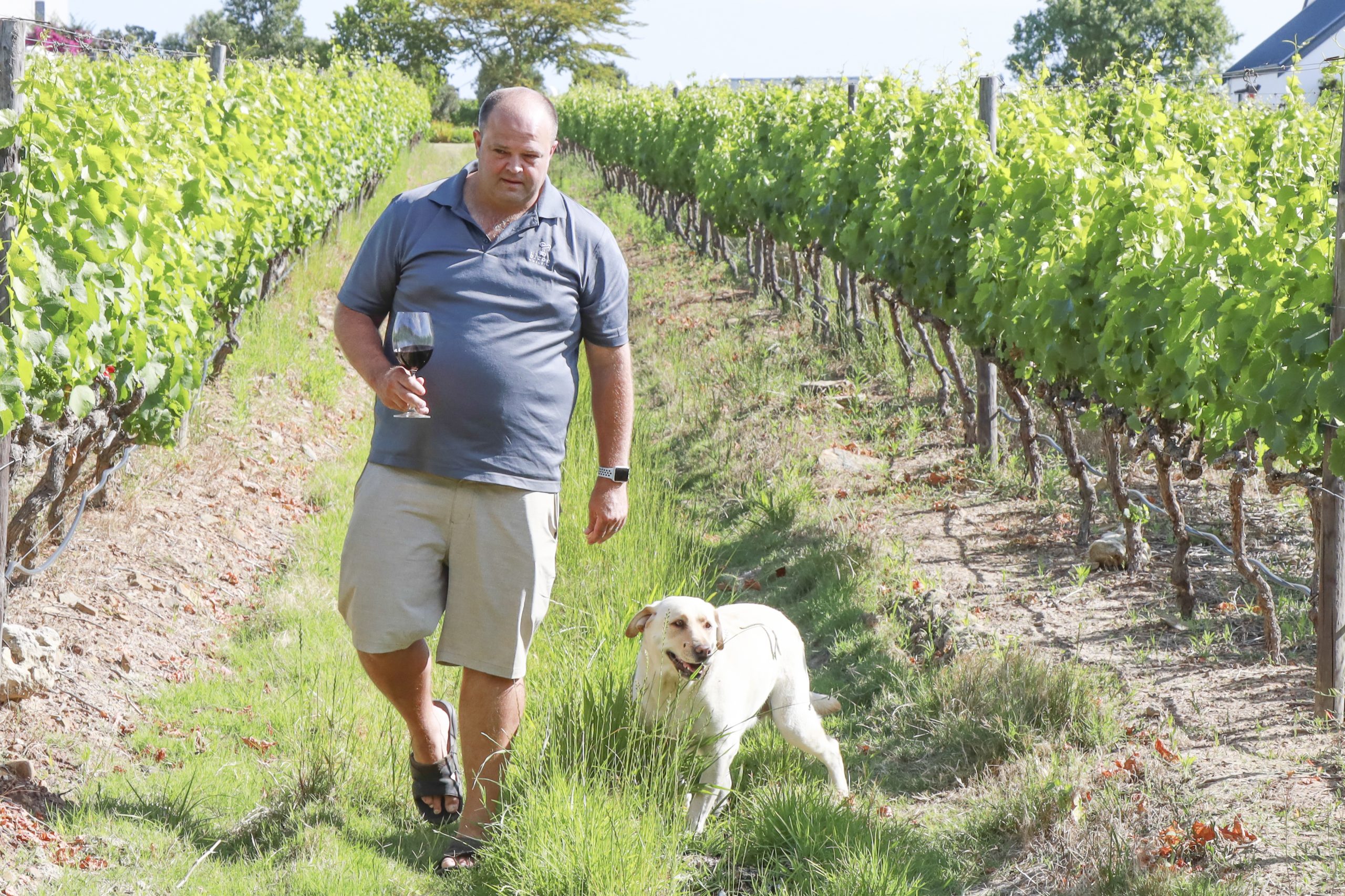 Rikus Neethling of Bizoe Wines