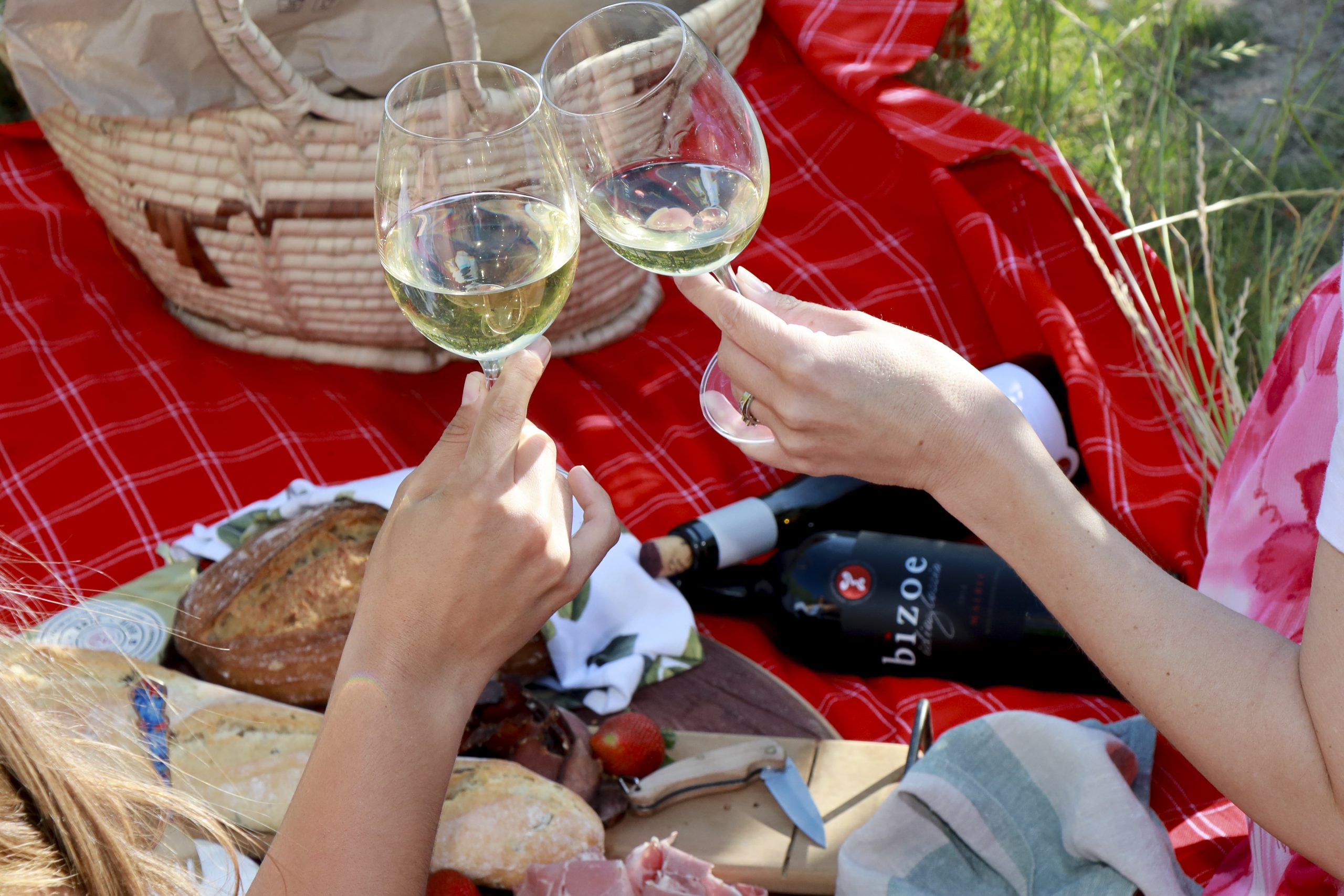 Celebrate South African Wines