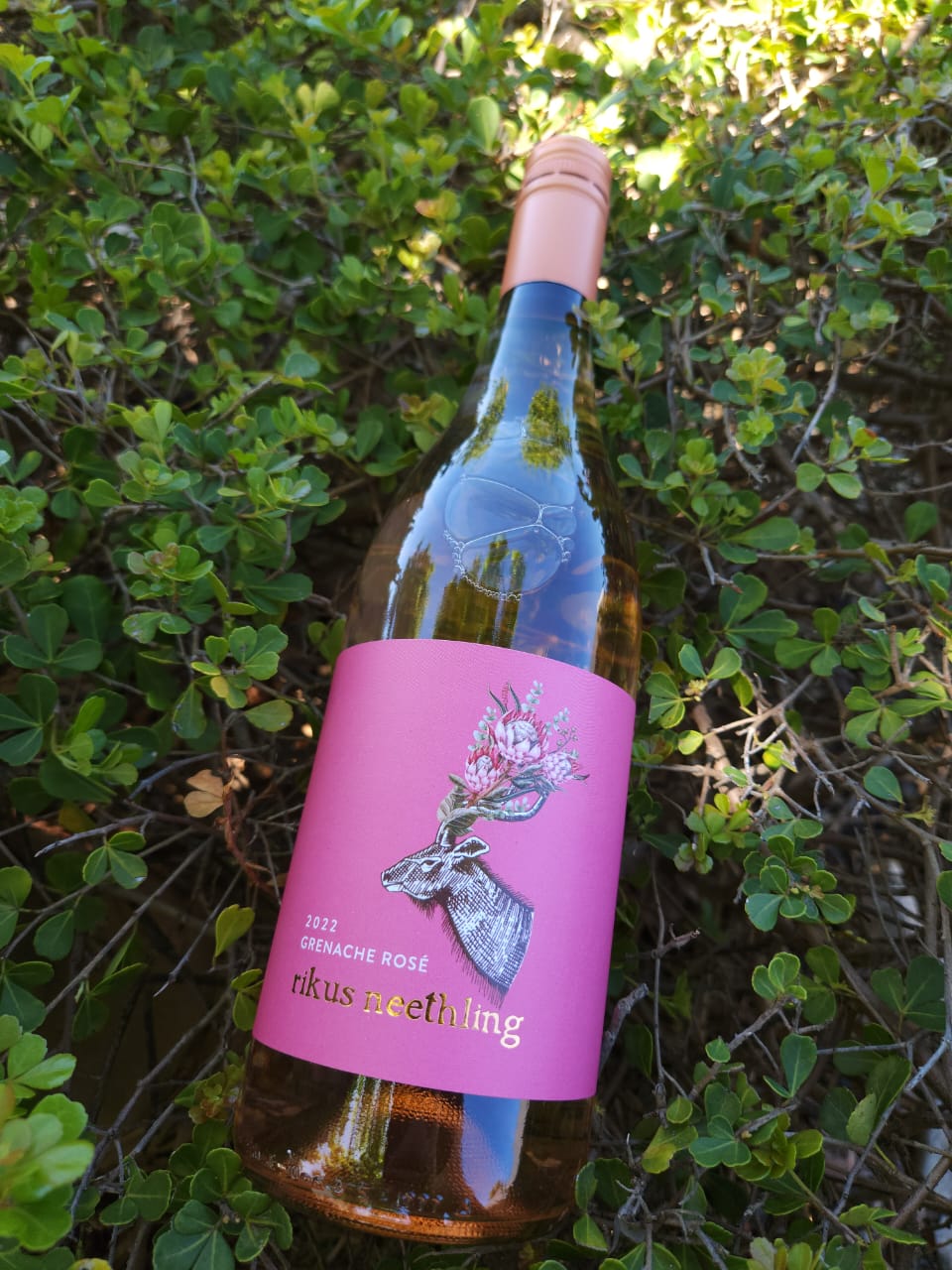 Rikus Neethling Grenache Rose