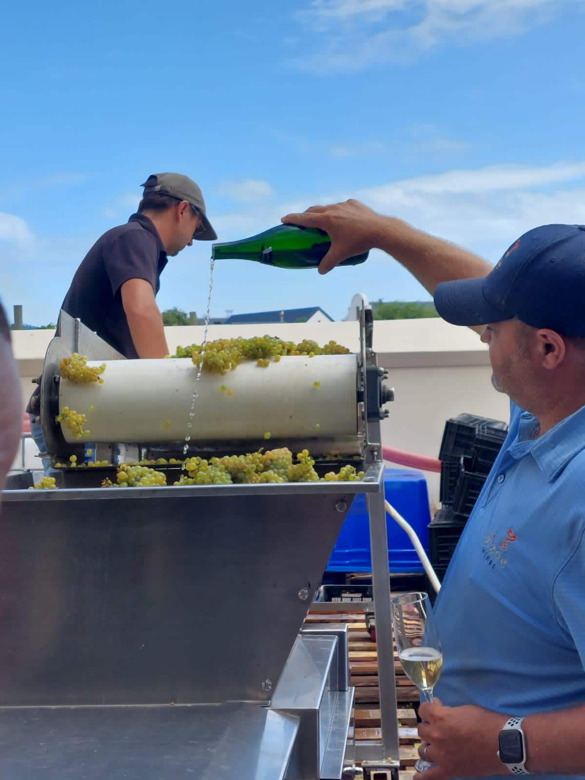 Celebrating start of harvest