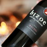 Bizoe Idioglossia Malbec