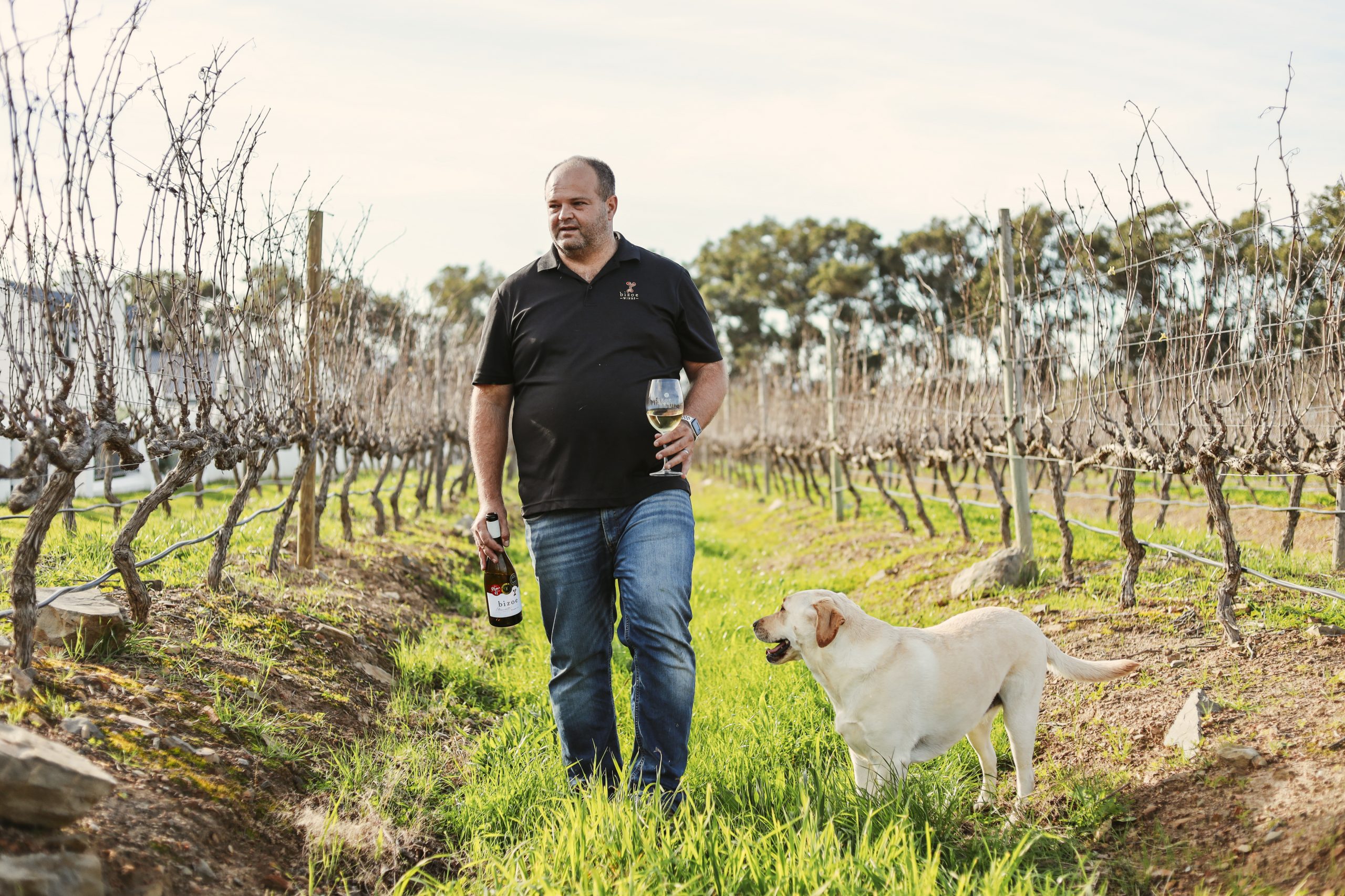 Rikus Neethling in the Vineyards